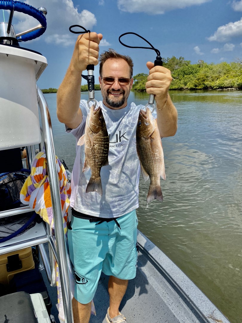 Mangrove Snapper